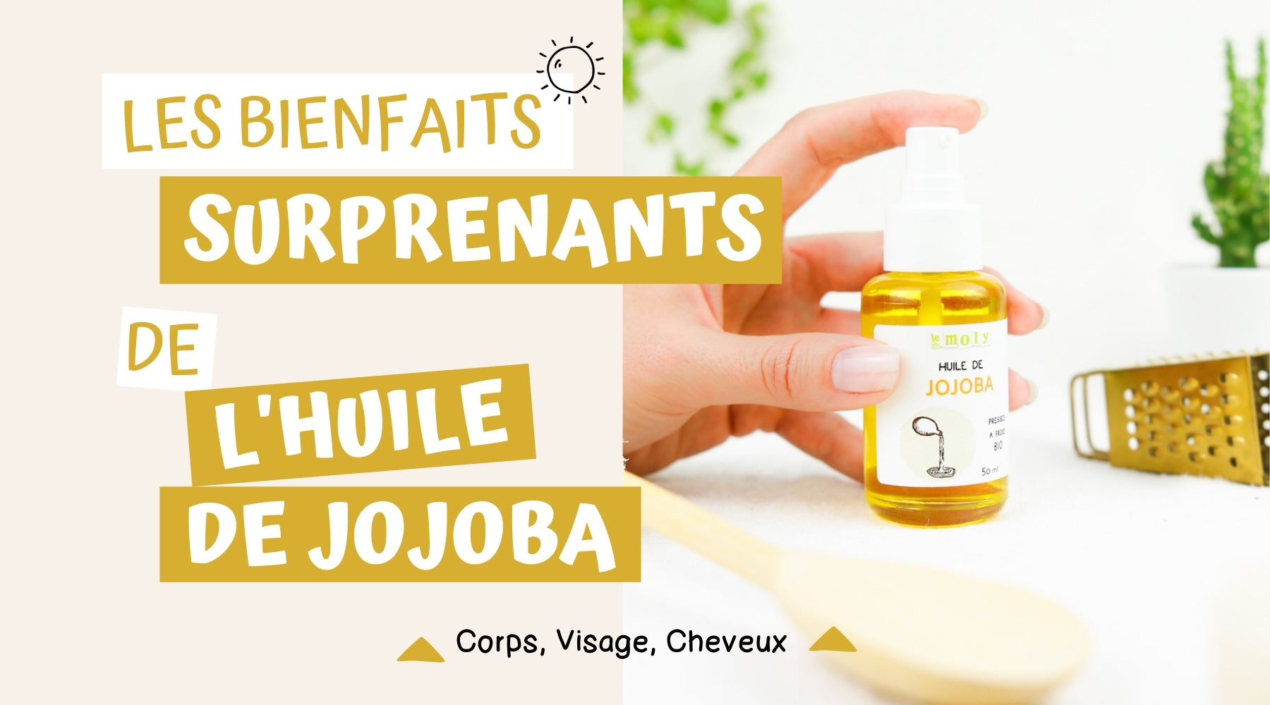 Huile de jojoba, des bienfaits naturels surprenants pour la peau : corps, visage et cheveux