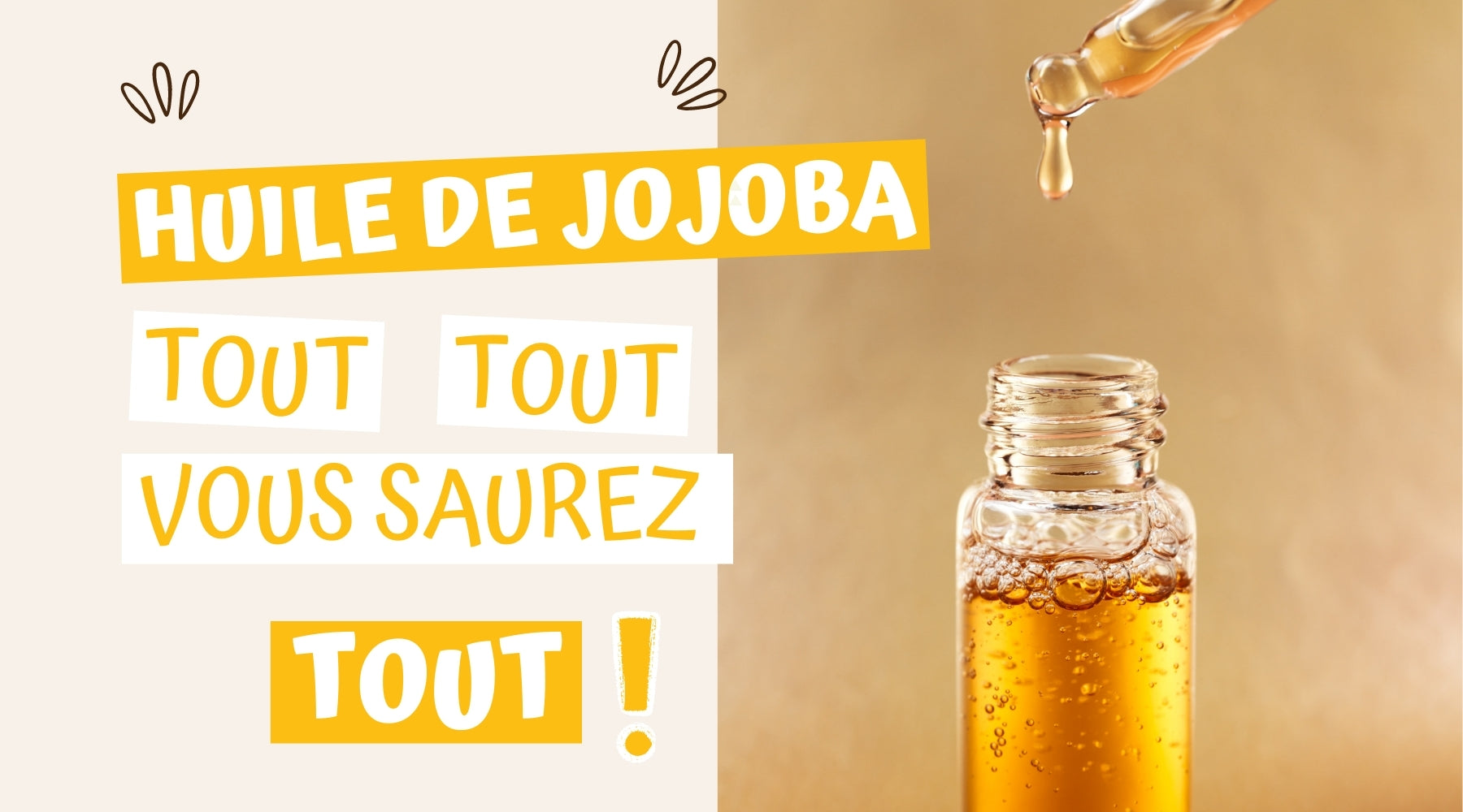 Huile de jojoba : propriétés, bienfaits, utilisations, précautions