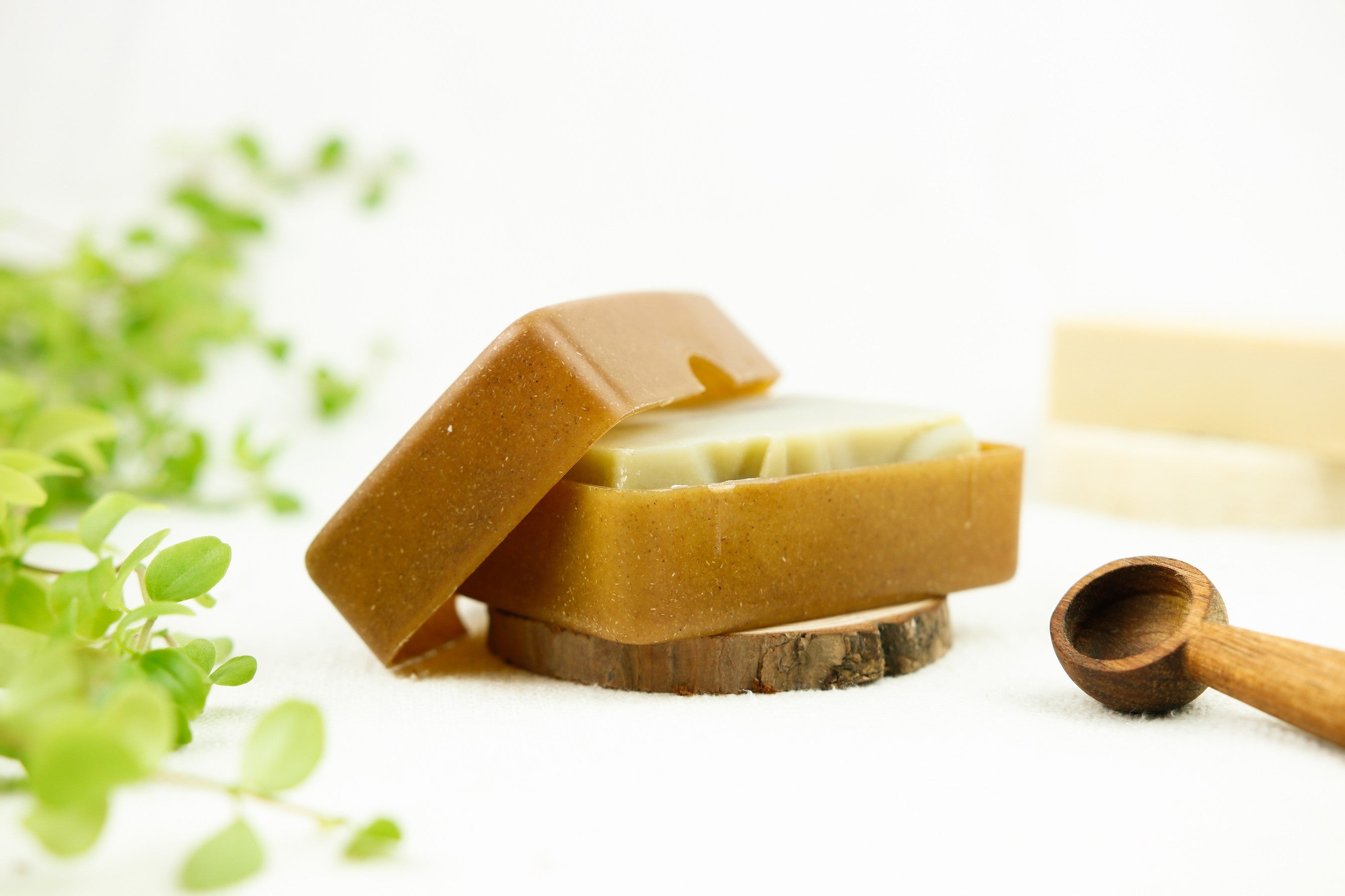 Boîte à savon en bois liquide biodégradable