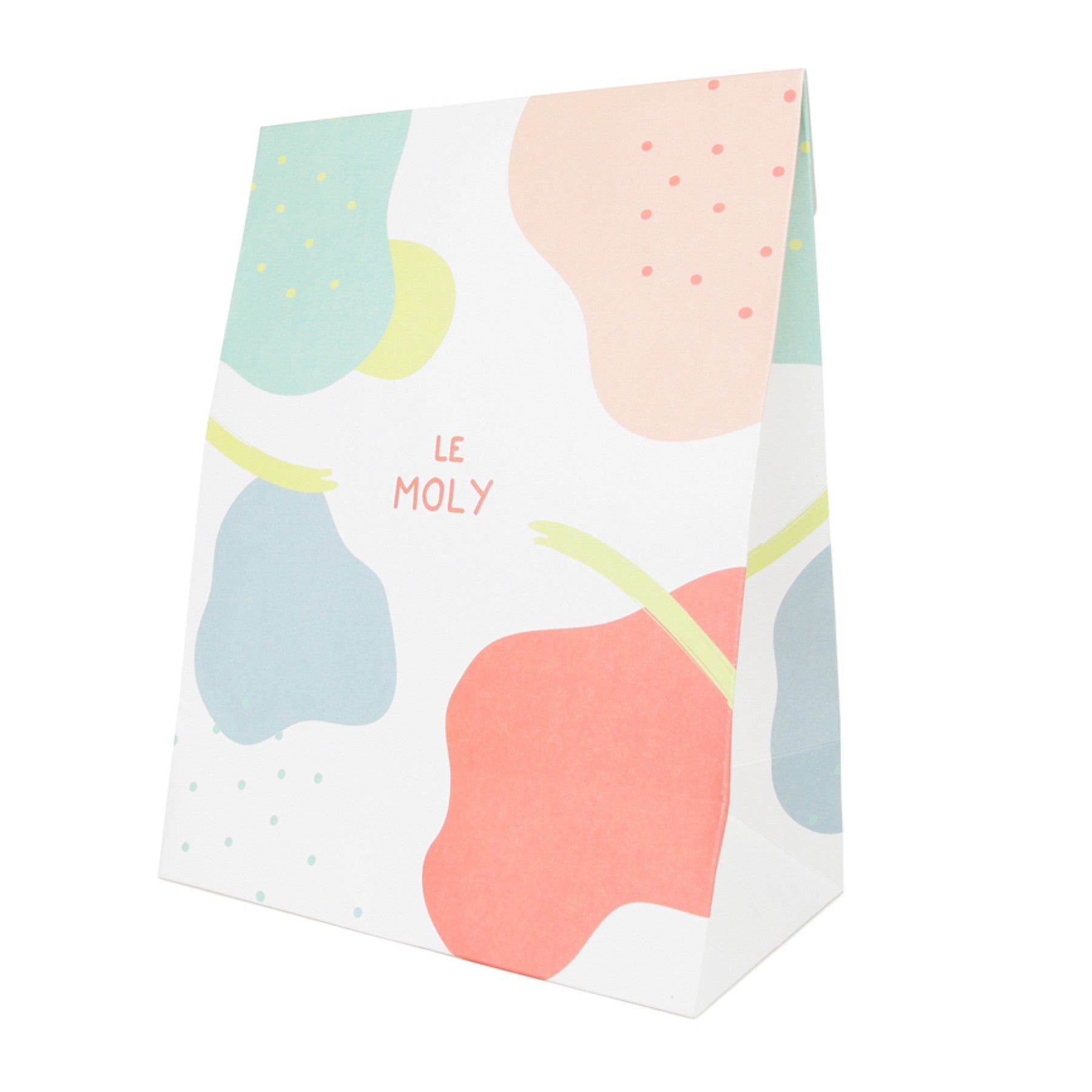 Pochette cadeau papier grand format